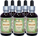 Psyllium (Plantago Ovata) glütseriit, orgaaniline kuivatatud kesta alkoholivaba vedelik ekstrakt (Brändinimetus: HerbalTerra, Proudly Made in USA) 5x2 fl.oz (5x60 ml)