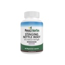 Real maitsetaimed Sting Nettle Root Extract 7500mg (750mg 10: 1 ekstrakt) - Taimetoit Sõbralik, mitte-GMO, gluteenivaba - toetab eesnäärme ja kuseteede tervis - 100 kapslit