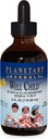 Planetary Herbals Echinacea- Elderberry Syrup , 4 fl oz (128,28 ml)