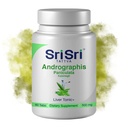 Andrographis Paniculata Supplements – 60 tabletti Taimepõhised Taimed Respiratoorne Wellness – Immuuntugevust taastavad andrograafia tabletid – 500 mg Orgaaniline Roheline Chiretta Herb