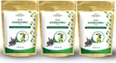 Kaunch Beej Powder – looduslik ayurveda maitsetaim igapäevaseks terviseks | 100% puhas ja vegan 100 g iga (3 pakendit)