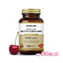 Metüül B-12 5000mcg närimiskõlblik folaadiga - vitamiin B12 Metüülkobalamiin Sublingvaalsed tabletid - toetab energia ja aju funktsiooni - Vegan Supplement - Kirsi maitse - 120 Count