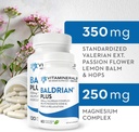 Vitaminerals 33+ Baldrian® Plus Natural Lõõgastav tugi Standardiseeritud Valerian Extract (60)