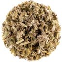 Horehound Leaf Tea Herb - Valge Horehound Jätab Horhound Hooratee
