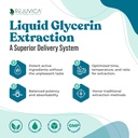 NerveFactor - Advanced Närvitoe täiendus - Vedelik kohaletoimetamine parema imendumise jaoks - atsetüül-L-karnitiin, alfa-lipohape, B12-vitamiin, foolhape, valge pajukoor ja palju muud!