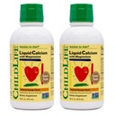 ChildLife Essentials Vedel Kaltsiumilisand lastele - Beebikaltsium magneesiumi, tsingi ja D3-vitamiiniga - oranž maitse, 16 fl oz (2 Pack)