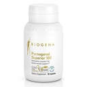 Biogena Pycnogenol 100 mg kuld koos Premium patenteeritud Prantsuse meremännikoore ekstraktiga (Pinus Pinaster), et toetada vereringlust