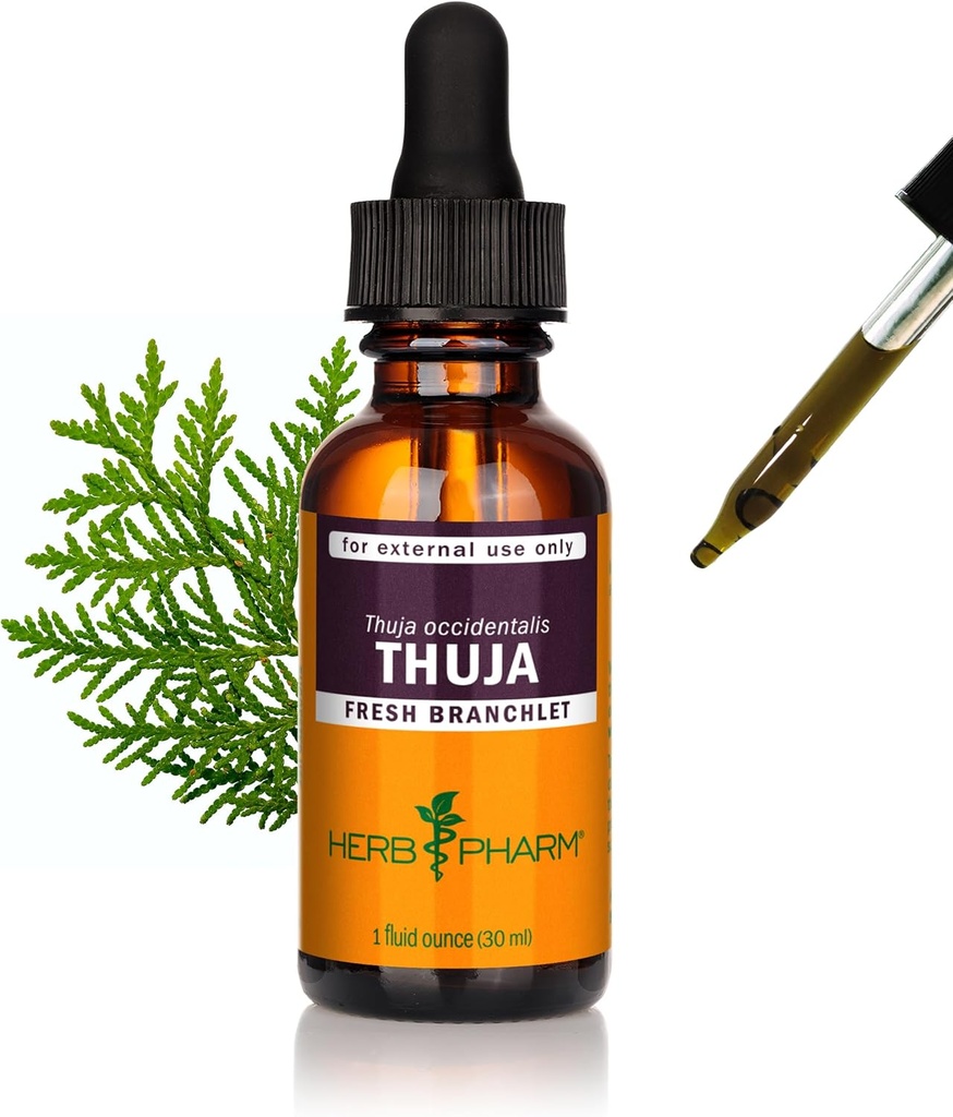 Herb Pharm Thuja Branchlet Vedelik Ekstrakt - 1 Ounce (DTHUJA01)