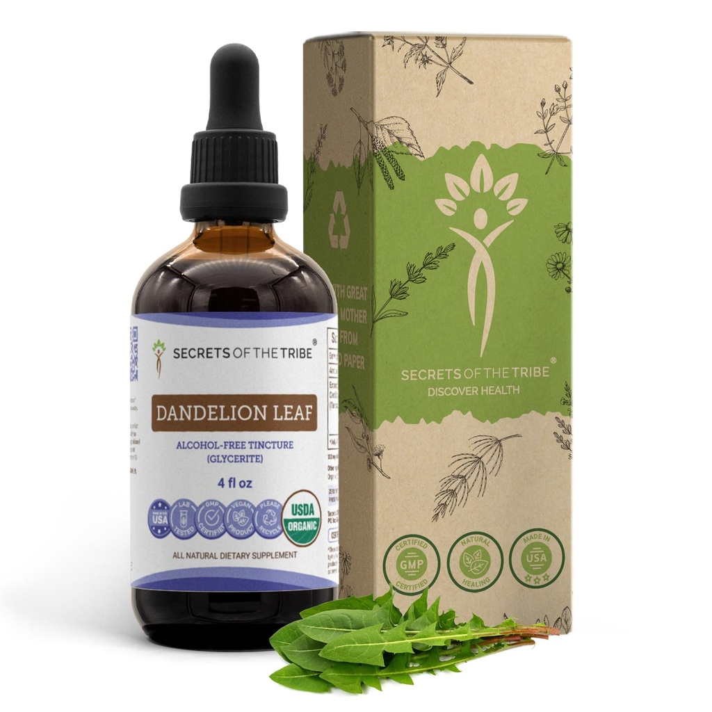 Saladused Tribe Dandelion Leaf USDA Orgaaniline | Alkoholivaba ekstrakt, suure tugevusega taimetilgad | Valmistatud 100% sertifitseeritud orgaanilisest Taraxacum Officinale kuivatatud lehest 4 fl oz