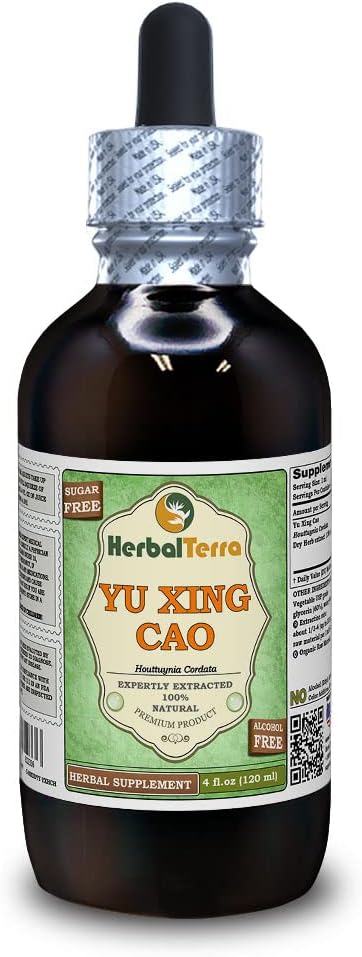 Yu Xing Cao (Houttuynia Cordata) Glycerite, kuivatatud ürdi alkoholivaba vedelik ekstrakt (Brand Name: HerbalTerra, Proudly Made in USA) 4 fl.oz (120 ml)