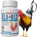 Farmalab B12 B15 kukedele B15 B12 para Gallos 100 tabletti