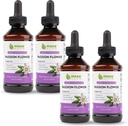 Maxx Herb Passion Flower Extract - Max Tugevus Passion-Lill Vedelik imendub paremini kui kapslid, lõõgastamiseks ja stressi leevendamiseks, alkoholivaba - 4 pudelit, 4 Oz iga (240 Servings)