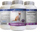 cat Bad Breath Treats - CAT PROBIOTIS - Immune Support - Savory Beef Flavor - Natural Formula - Best probiotics for Cats - 1 Bottle (60 Treats)