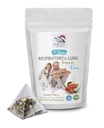 Piparmünditee - RESPIRATORY JA LUNG SUPPORT TEA 14 Days - astragalus membranaceus root, kaneel, Hibiscus, vahukommi juur, mahetaimetee, kopsu tugitaimed, immuuntee - 1Pack 14 kotid