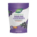 Nature's Way Sambucus Immune Lozenges, kõrge potentsi C-vitamiin, Elderberry, 24 troopilised maitsestatud lozenges (pakendamine võib varieeruda)