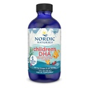 Nordic Naturals Laste DHA, Maasikas - 4 oz lastele - 530 mg Omega-3 EPA & DHA - Aju areng ja funktsioon - Non-GMO - 48 Servings