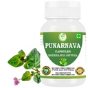 Punarnava kapslid (Boerhaavia Diffusa) 500mg – 60 Veg kapslid | Taimse heaolu täiendus looduslikule neerule ja maksale | Taimepõhine detox & puhastusvalem | Pakend 1