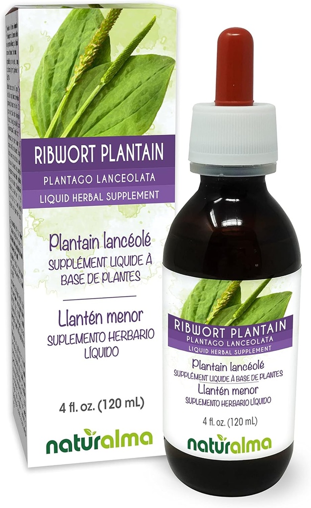 Naturalma Ribwort Plantain või Kitsaleheline Plantain (Plantago lanceolata) Leht Alkoholivaba Tinktuur - 4 fl oz Vedel Ekstrakt tilkadena - Taimne täiendus - Vegan
