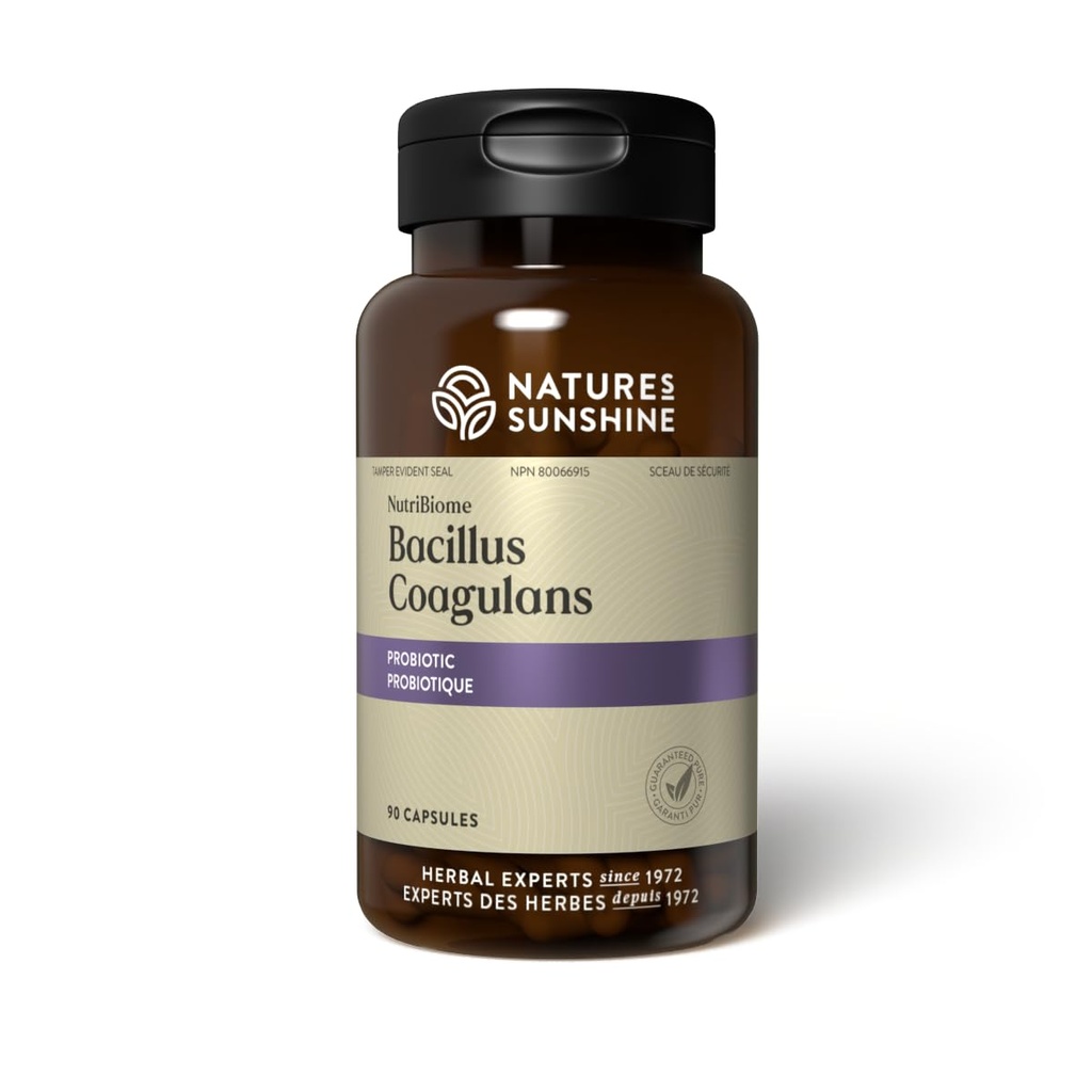 Looduse päikesepaiste Nutribiome Bacillus Coagulans probiootikumid, 90 kapslit | 3 miljardit CFU Bacillus Coagulans probiootikum aitab kaitsta seedehäireid ja aeg-ajalt kõhulahtisust, gaasi ja puhitus