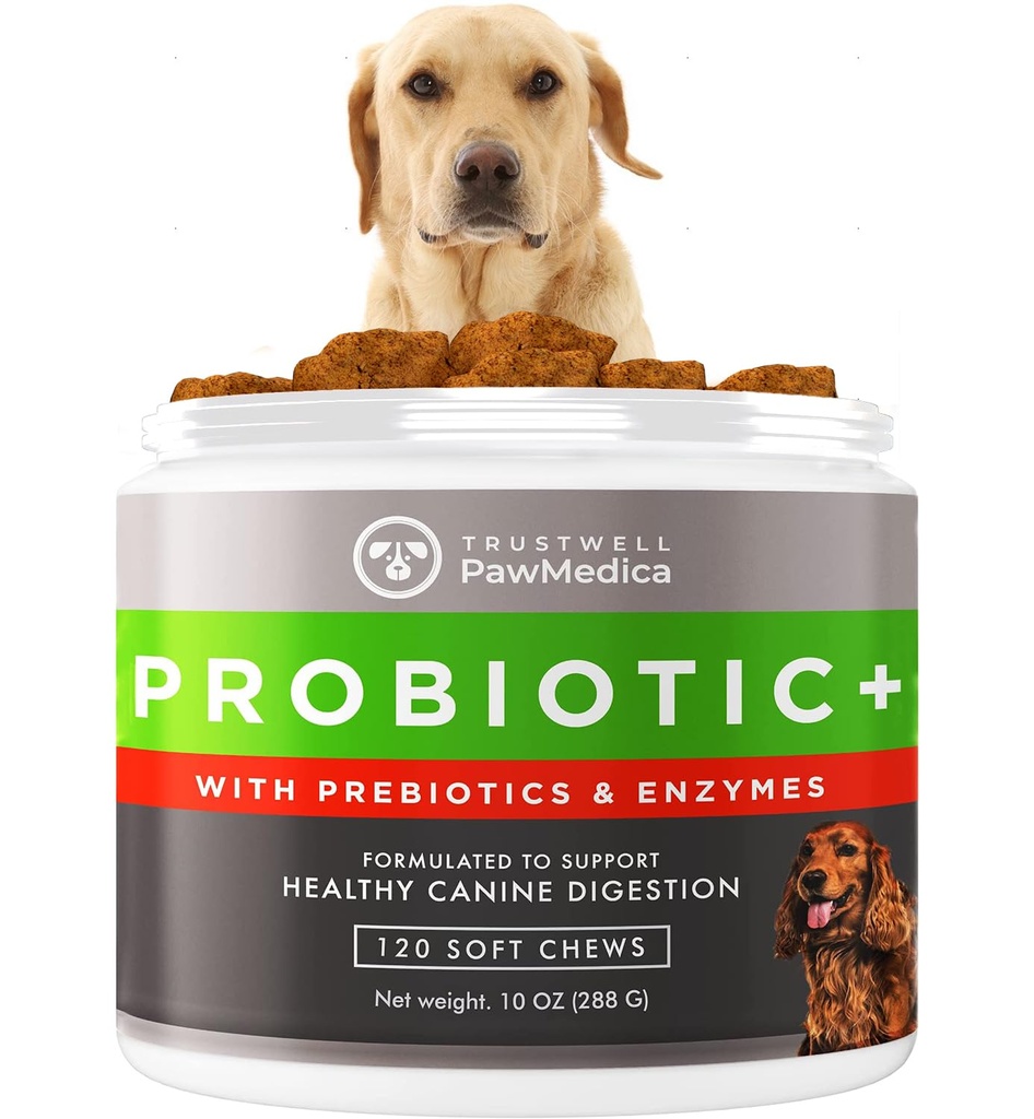 PawMedica koera probiootikumid ja seedeensüümid, probiootikumid USA-s valmistatud koertele, lemmikloomade probiootilised närid koertele, prebiootikumid ja probiootilised koerte seedetrakti tugi, probiootikumid - 120 koera probiootilised närid