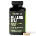 Mullein Lehtkapslid hingamisteede tervisele - 5000mg Väljavõte 10: 1 kopsude toetamiseks ja immuunsüsteemi funktsiooniks - 90 Count - Vegan, mitte-GMO kapslid - taimsed toidulisandid igapäevaseks terviseks - 3 kuu pakkumine