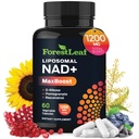 NAD + täiendus - 500 mg puhast NAD Plus energia, fookuse, naha ja vananemisvastase toetuse jaoks - Gluteenivaba mitte-GMO NAD täiendused naistele ja meestele (60 loend (pakk 1), NAD + resveratrool)
