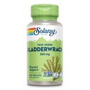 SOLARAY Bladderwrack kapslid 580 mg - toitainete pakitud merevetikate lisand, kõrge joodisisaldusega - tasakaalustatud taimetoetus - vegan, mitte-GMO, 60-päevane garantii, Lab verifitseeritud - 100 Servings, 100 VegCaps
