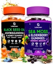 Iiri mere sammal ja must seemne õli Gummies Bundle - 120 Vegan Gummies Bears - Elderberry lastele ja täiskasvanutele - Nigella Sativa koos Ashwagandha & Honey