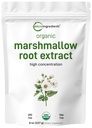 Mikrokoostisosad Orgaaniline vahukommi juurepulber, 8 Ounce, täiteainevaba ja traditsiooniliselt kasutatav, toetab seedetrakti tervist, kiiritamata ja GMO-deta, vegan sõbralik