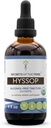 Hyssop USDA orgaaniline | Alkoholivaba ekstrakt, suure tugevusega taimsed tilgad | Valmistatud 100% sertifitseeritud orgaanilisest hüposopist (Hyssopus officinalis) Kuivatatud ürdist (4 oz)
