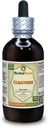 Cleavers (Galium Aparine) Tinktuur, Orgaaniline Kuivatatud Ümmargused Osad Vedel Ekstrakt (Brand Name: HerbalTerra, Proudly Made in USA) 4 fl.oz (120 ml)