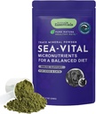 Animal Essentials Ocean Kelp koertele ja kassidele - kilpnäärme tugi, kilpnäärme lisand, merekeraamika pulber, jälgede mineraalid, veterinaar soovitatav - 8 Oz