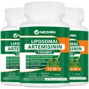 Liposomal Artemisinin Supplement 1000mg, Sweet Wormwood Extract 200mg Quercetin Phytosome, Maksimaalne imendumine Antioksüdant 180 kapslit