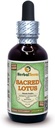 Lootos (Nelumbo nucifera) Glycerite, Kuivatatud Stamens Alkoholivaba vedelik ekstrakt (kaubanimi: HerbalTerra, Proudly Made in USA) 2 fl.oz (60 ml)