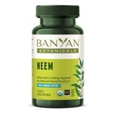 Banyan Botanicals Neem Tablets - Orgaaniline Neem Leaf (Azadirachta Indica) - Toetab looduslikku detoksifitseerimist, tervislikku nahka ja immuunsüsteemi tervist * - 90 tabletti - mitte-GMO jätkusuutlikult hangitud vegan