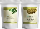 HERBAL HILLS Neem Leaf Powder ja Gurmar Powder Gymnema Sylvestre Pakend 2 Combo