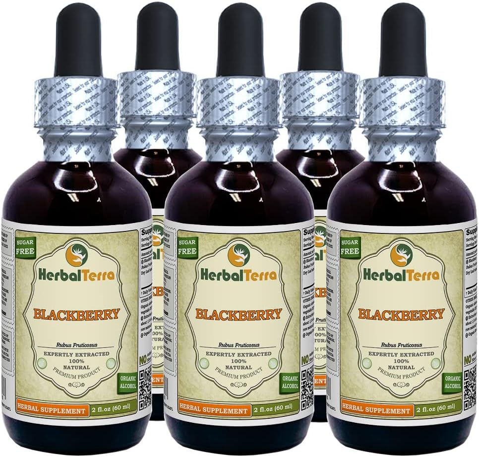 BlackBerry (Rubus fruticosus) Tinktuur, orgaaniline kuivatatud lehed Vedelikekstrakt (Brand Name: HerbalTerra, Proudly Made in USA) 5x2 fl.oz (5x60 ml)