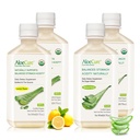 AloeCure Orgaaniline Aloe Vera Mahl - 4 pudeliproovi pakend - Sidrun & looduslik maitse, 4x500 ml