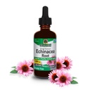Looduse vastus Echinacea ekstrakt | toetab tervislikku immuunsüsteemi | Vegan, gluteenivaba, alkoholivaba, mitte-GMO ja Kosher sertifitseeritud | 2oz