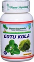 Planeet Ayurveda Gotu Kola, 500mg Veg kapslid-üks pudel