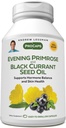 ANDREW LESSMAN Õhtune Primrose ja Black Sõstra seemneõli 360 Softgels - Soojendab füüsilist ebamugavust ja meeleolu Swings tõttu menstruaaltsükli, Gamma-Linolenic, Omega-6 rasvhapped, Ei Lisandid
