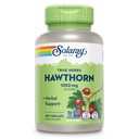 SOLARAY Hawthorn Berry kapslid 1050 mg - rahustav taimne tugi - Hawthorne Berry toidulisand üldise heaolu toetamiseks - Terve Berry, Vegan, Non-GMO, 60 päeva garantii, 90 Servings, 180 VegCaps