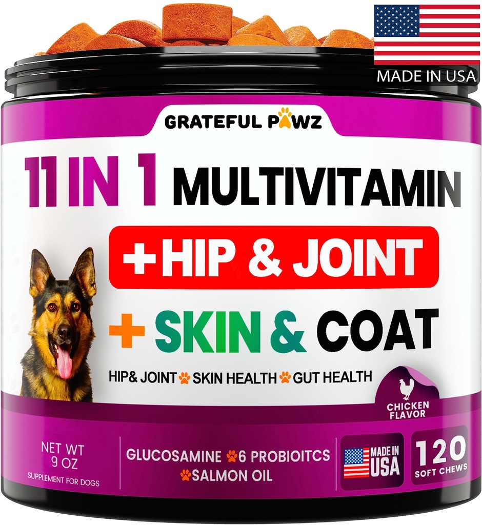 Koer Multivitamiini närimist Glükosamiini - Koer Vitamiinid ja toidulisandid, Senior & Kutsikas Multivitamiinid Koertele - Lemmiklooma Kondroitin Hip ja ühine tugi Tervis, Immuunsüsteemi Booster, nahk, süda, probiootikumid