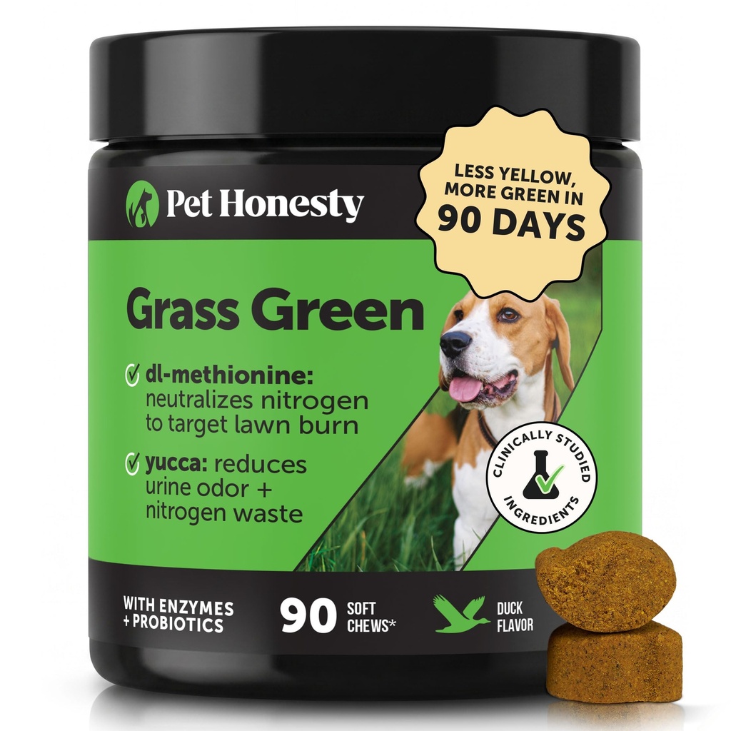 Grass Green Dog Urine Neutralizer for Lawns - Stops Yellow Burn Spots & Brown Grass - Lawn Saver Supplement with dl-Methionine, Probiotics & Digestive Enzymes - Green Grass Chews (Duck, 90 Ct)