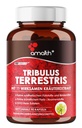 Amalth Tribulus Terrsestris, 20:1 Ekstrakt Serving, Kõrgeim potentsi Ashwagandha, Saw Palmetto, Shilajit 120 kapslit