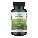 Swanson Spearmint Leaf (Mentha Spicata) - Täielik Spektri Taimne täiendus, mis toetab seedetrakti tervist ja kergeid kõhuprobleeme - looduslik valem, mis toetab tervist ja heaolu - (60 kapslit, 400 mg iga)