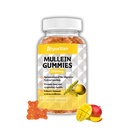 Mullein Gummies, 2000mg Orgaaniline Mullein Leaf Ekstrakt kvertsetiin, Bromelain & Vitamiin D3, Mullein Leaf Ekstrakt hingamiseks, looduslik kopsupuhastus, parandada isu, Vegan, Non-GMO, 1 Pack