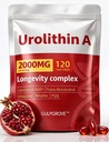 Urolithin A Supplement with Liposomal NAD+, Trans-Resveratrol, Ubiquinol, TMG, PQQ, 6-in-1 Formula for Cellular Energy & Mitochondrial Support, 120 Softgels