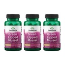 Swanson Green Lipped Mussel (Freeze-Dried) - Uus-Meremaa ühine tervise ja liikuvuse lisa - looduslik valem võib toetada südame tervist ja seedefunktsiooni - (60 kapslit, 500 mg iga) (3 pakendit)