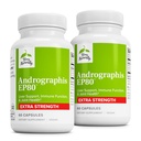 Terry Naturally Andrographis EP80 Extra Tugevus - Aju Tervise Ja Immuunsüsteemi Toetus - Ühine Tervisetoetus Liikuvuse Abiks - Adaptogeenilisa energia ja maksa toetuseks - 60 kapslit (2. pakk)